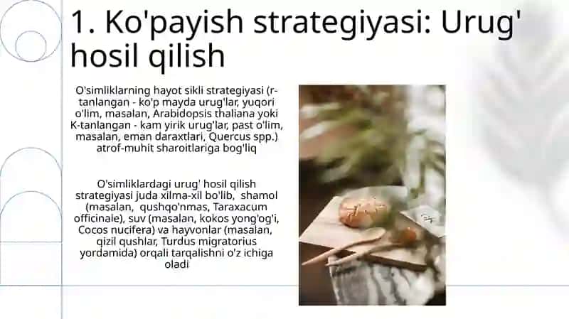 Dorivor òsimliklarni hayotiy strategiyalarini aniqlash 3