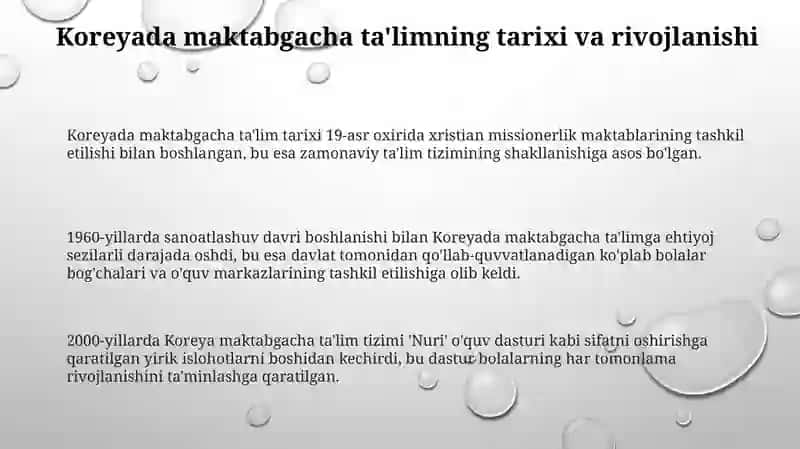Koreyada maktabgacha ta'lim, yutuq va kamchiliklari 3