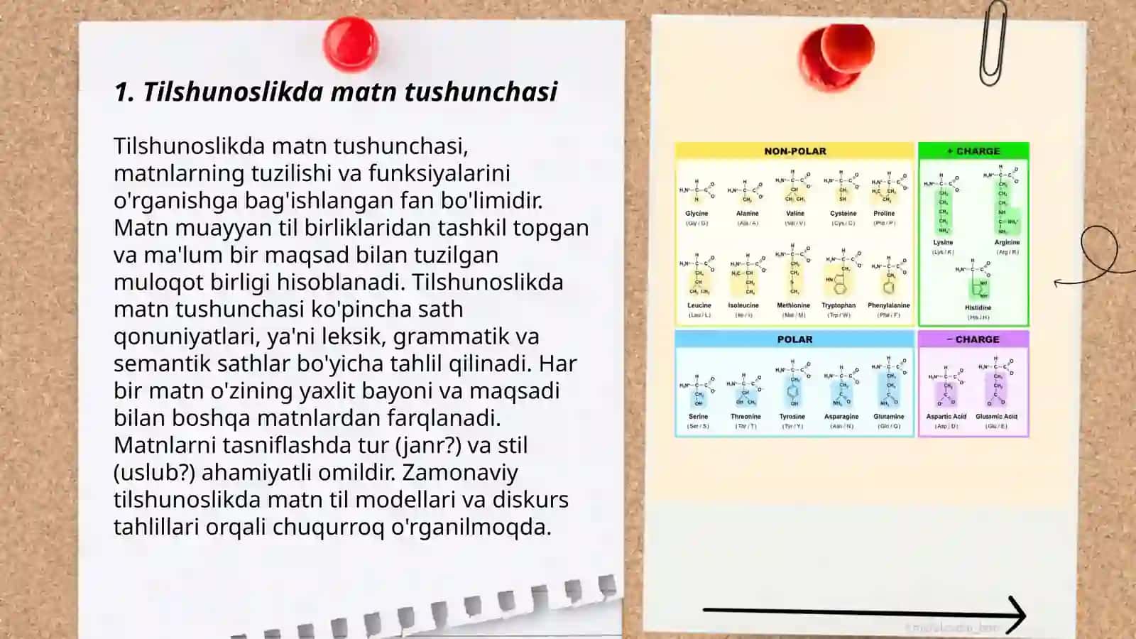 Tilshunoslikda matn muammosining oʻrganilishi 3
