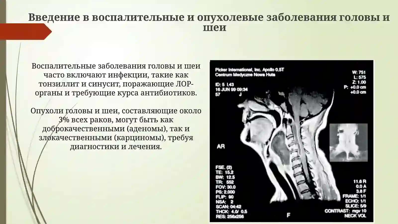 Патологическая анатомия 3
