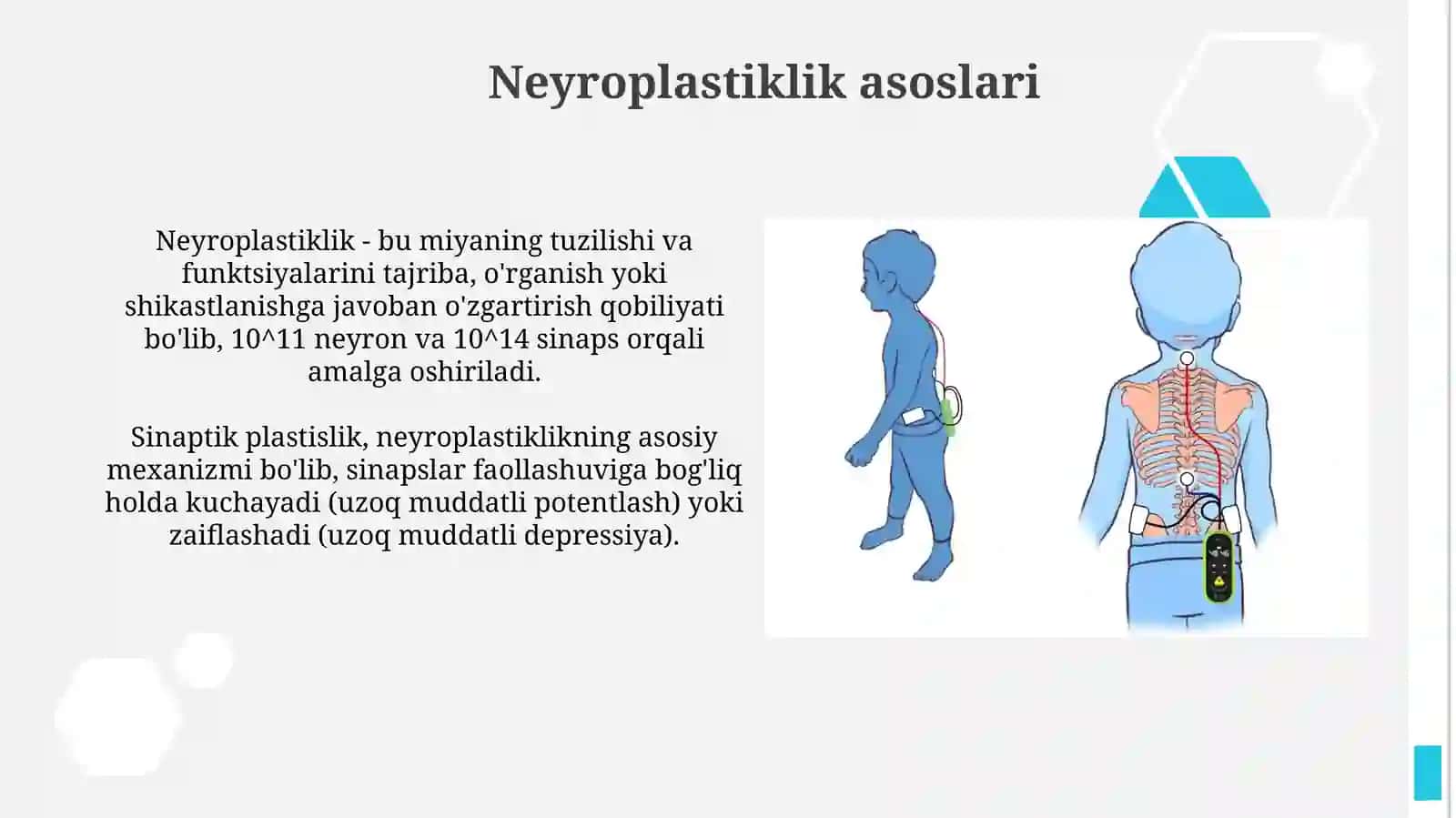 Neyroplastiklik va Neyromodulyatsiyaning Asoslari 3