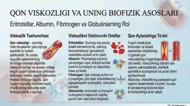 Yuqori molekulyar birikmalar eritmalarining hossalari. Qonning reologik xossalari 3