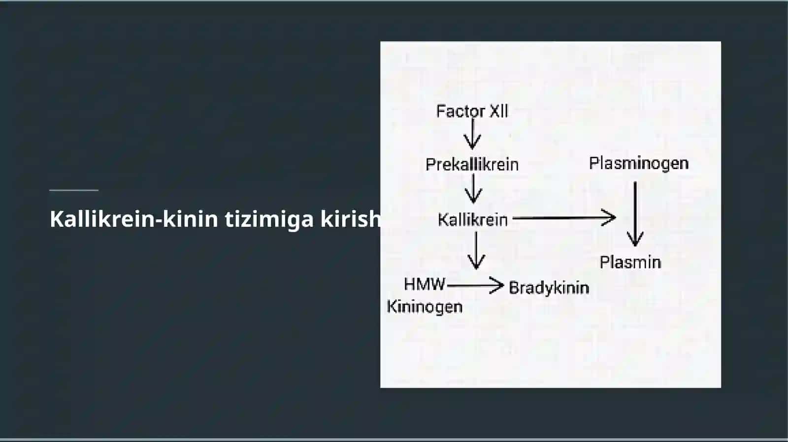 Kallikrein-kinin tizimi va uning klinik ahamiyati 3