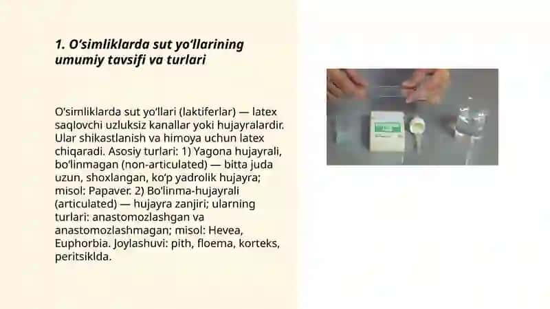 Oʻsimliklarda sut yoʻllarini mikroskopda kuzatish 3