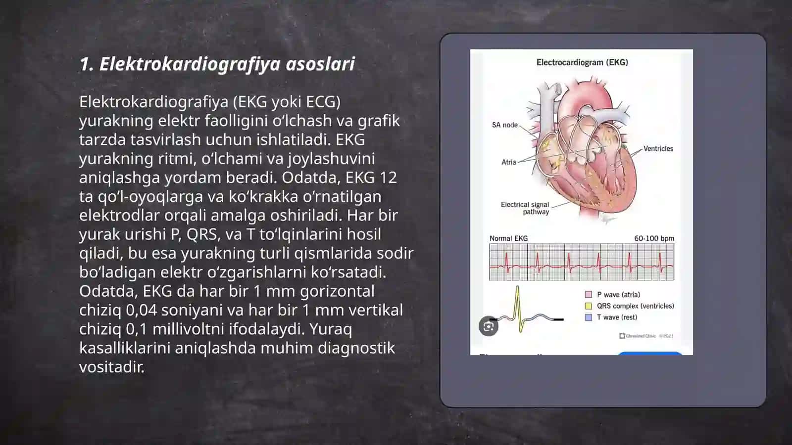 Yurak faoliyatini tekshirish usullari EKG 3