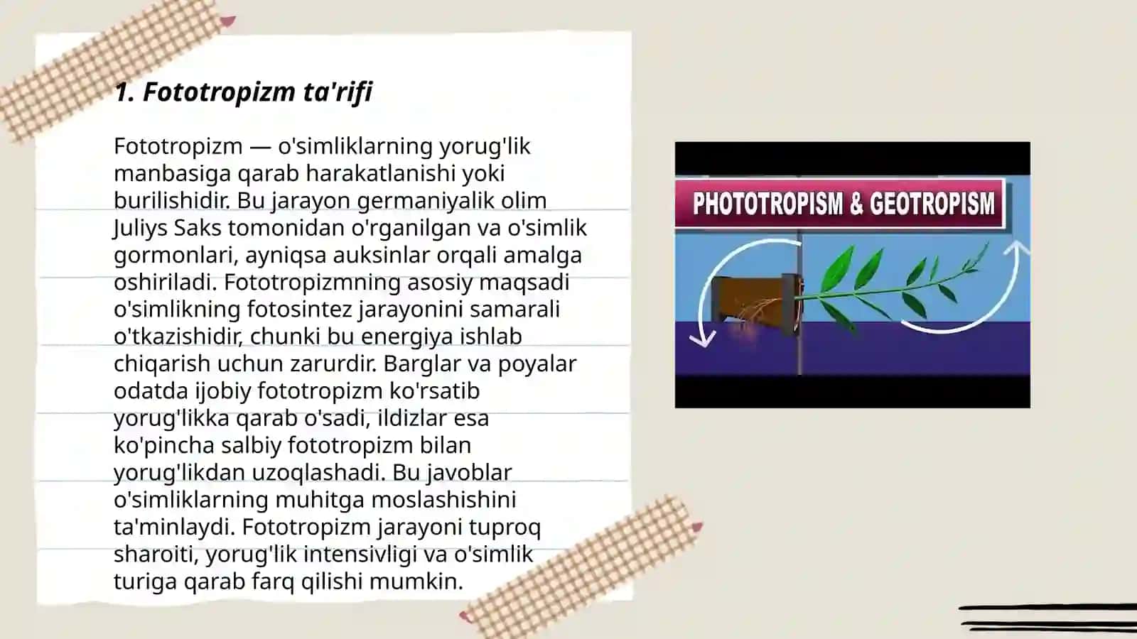 O'simliklarda Fototropizm Fotonastiya Geotropizm hodisalarini kuzatish 3