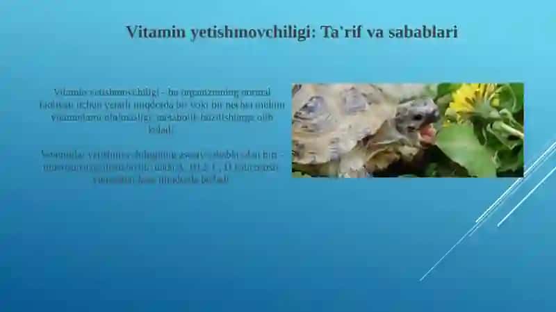 Vitamin Yetishmovchiligi 3