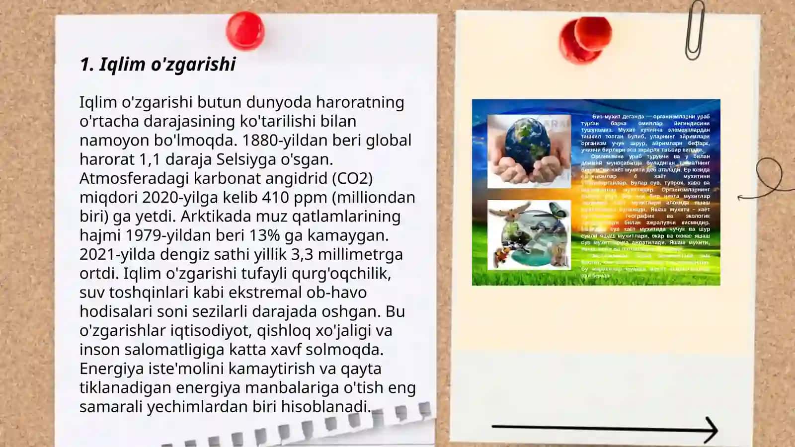 Davrimizning global muamolari."Tabiatni asrash" matni 3
