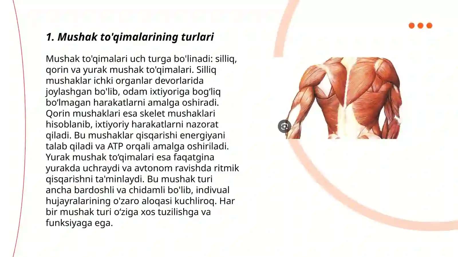Mushaklar tizimi va fiziologiyasi 3