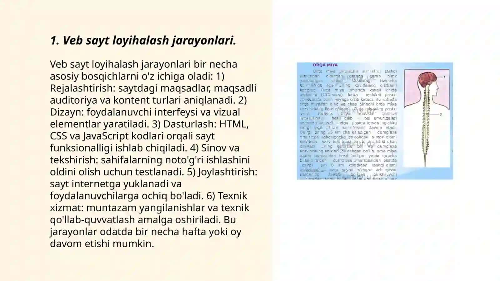 Veb sayt loyihalash jarayonlari 3