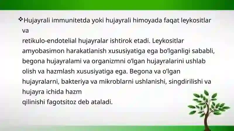 Immunitet tanqisligining fiziologik asoslari 3