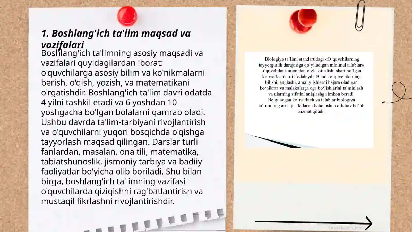 Boshlang'ich ta'lim mazmuni va mohiyati 3