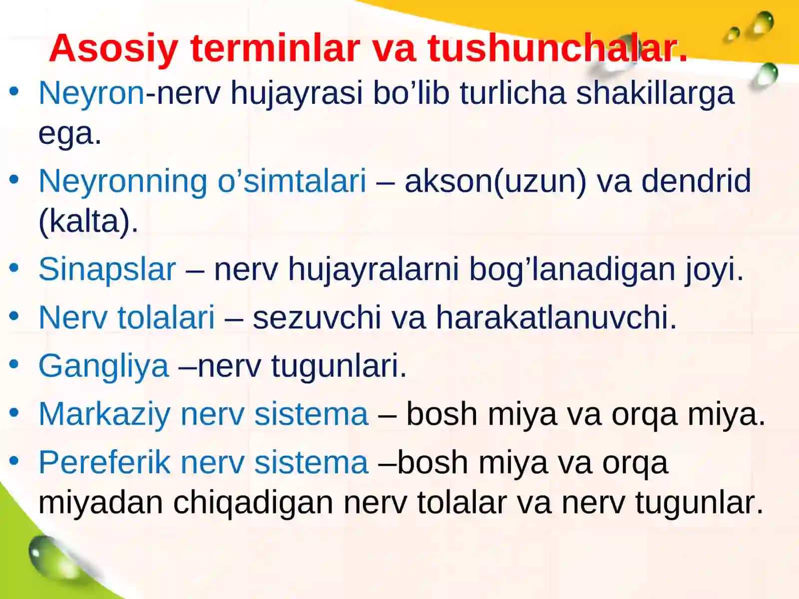 Neyron va nerv tolalarining yoshga bogliq xususiyatlari 3