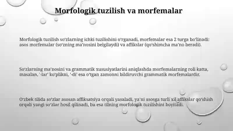 Morfologik tuzilish 3