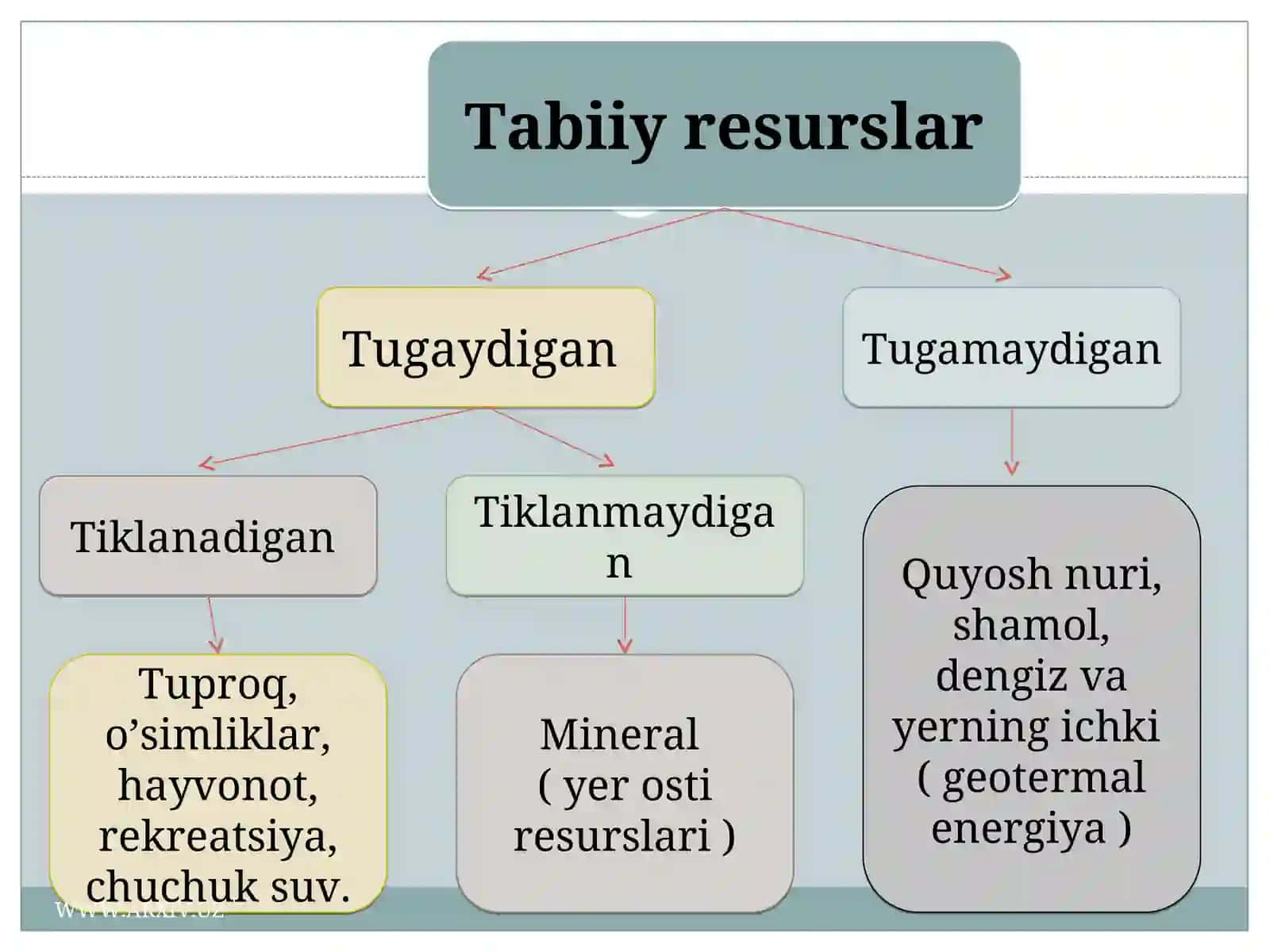 O’zbekistonning tabiiy boyliklari va ularni muhofaza qilish 3