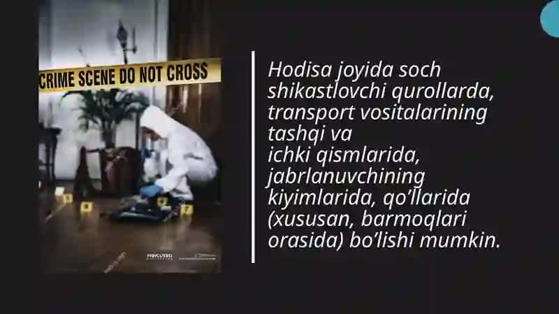 Sochlarining sud-tibbiy ekspertizasi 3