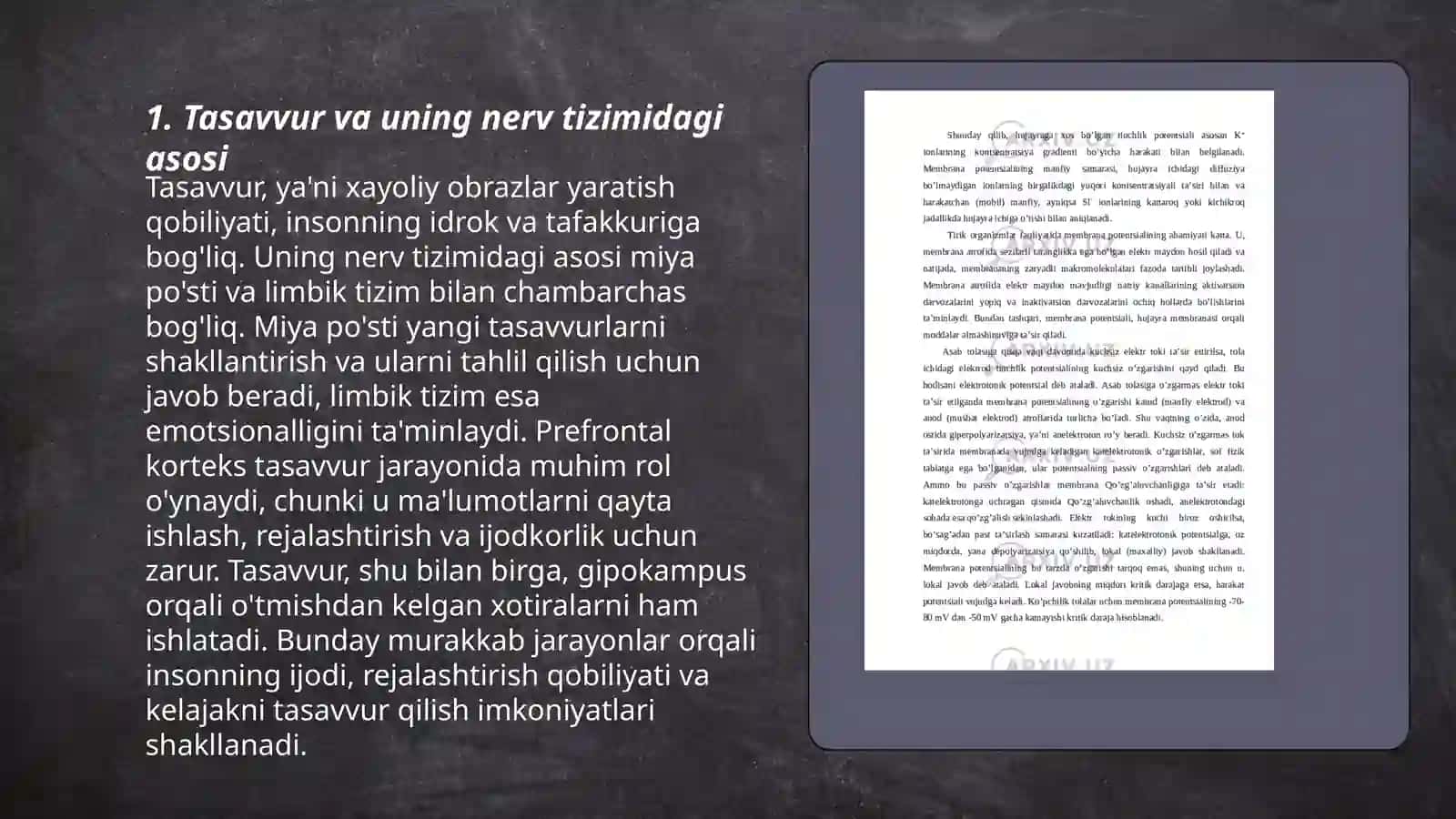Tasavvurning paydo bo‘lishi fiziologiyasi 3
