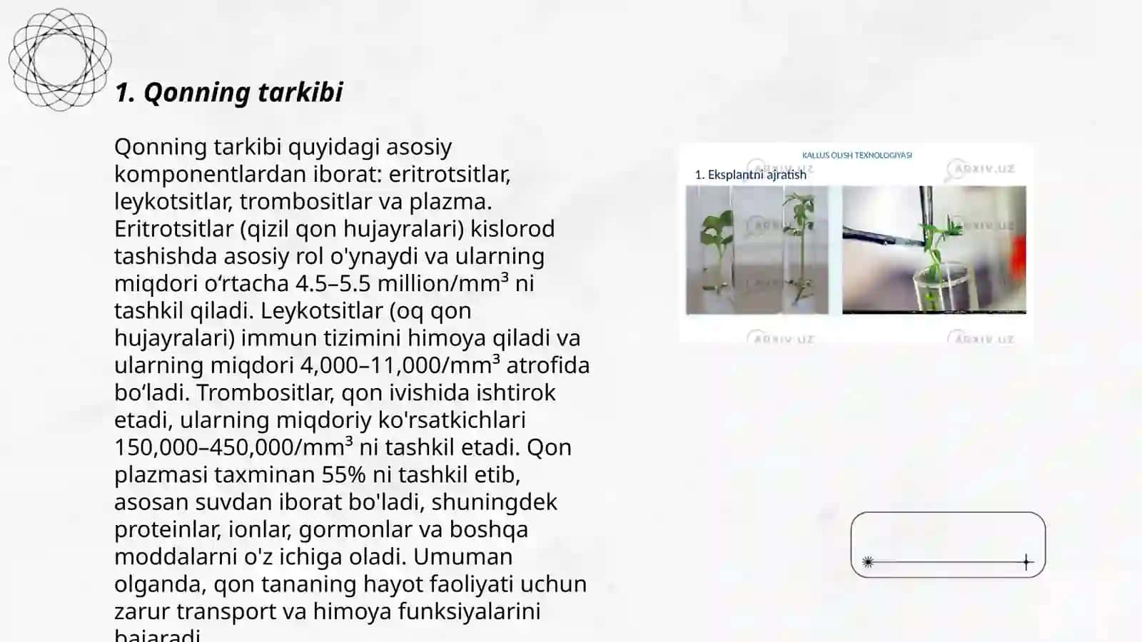 Qonning morfologik va biologik xususiyatlari 3