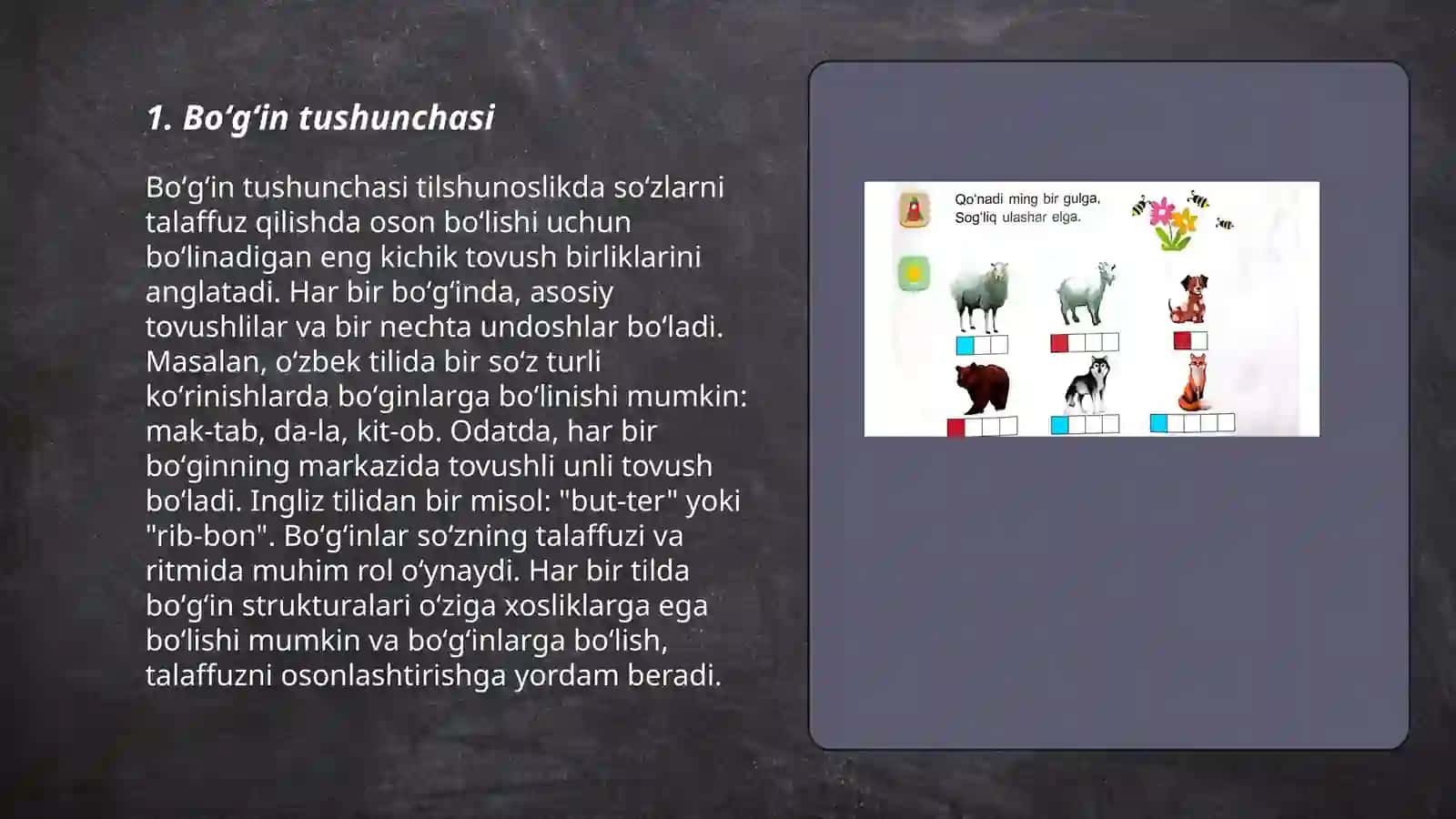 Boʻgʻin va tovush haqida tushuncha 3