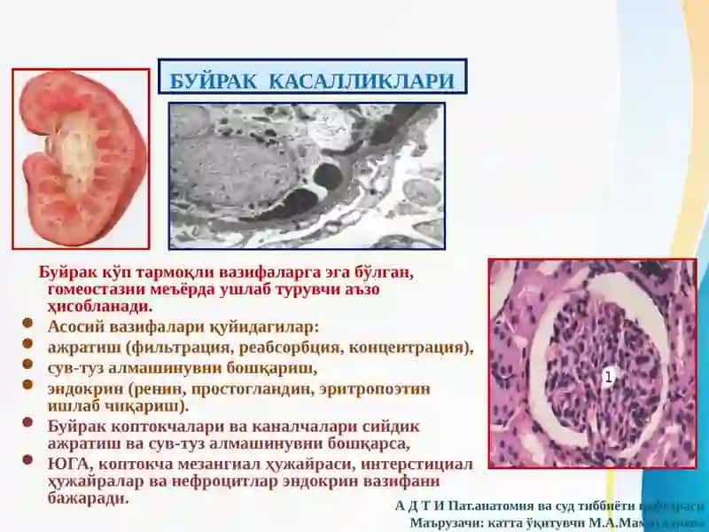Buyrak kasalliklari 3