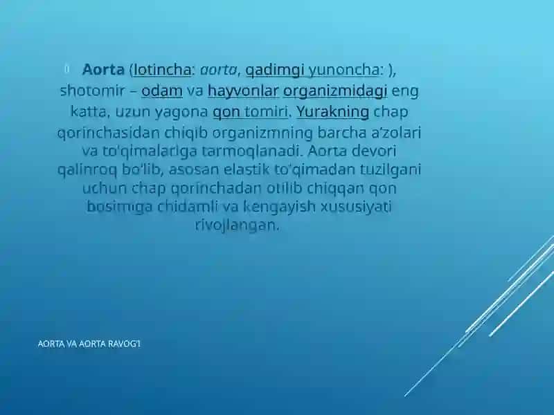 Aorta,aorta ravog’i.Umumiy,tashqi va ichki uyqu arteriyalari. 3