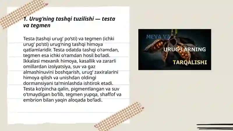 Urug‘larning tuzilishi, tiplari va unishi. 3