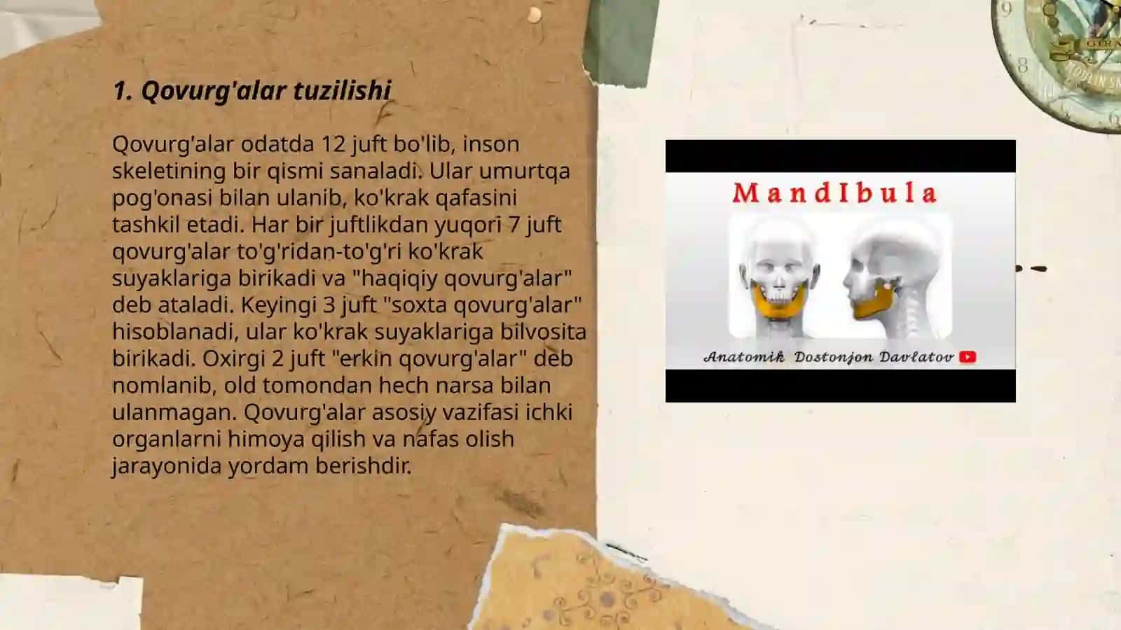 Qovurg'alar tuzilishi 3