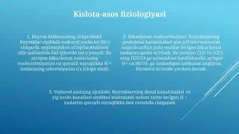 Kislota Asos Muvozanatini Saqlashda Buyraklarning Roli 3