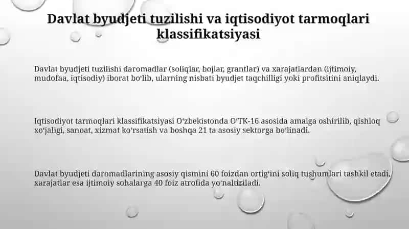 Davlat byudjeti resurslarining taqsimlanishi 3