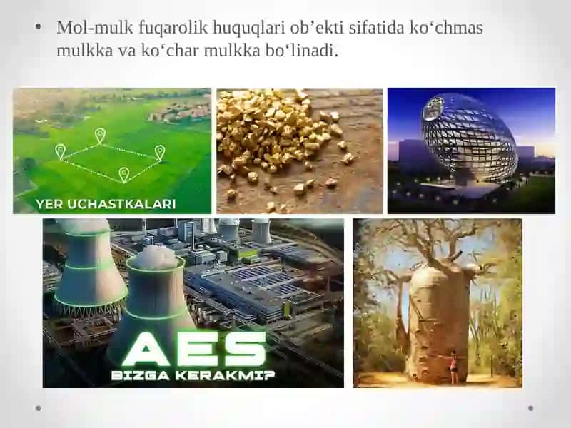 Ko‘chmas mulk kadastrini yuritishning nazariy va HuQuQiy asoslari 3