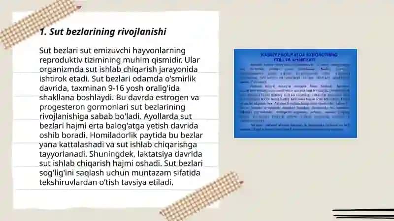 Sut bezlari gistogenezi va gistofiziologiyasi. Laktatsiya jarayonining neyrogumoral mexanizmlari 3