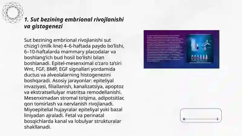 Sut bezlari gistogenezi va gistofiziologiyasi.Laktatsiya jarayonining neyrogumoral mexanizmlari 3