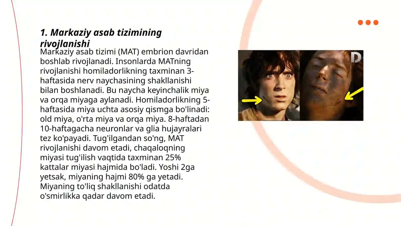 Nerv tizimining yoshga oid fiziologiyasi va gigienasi 3