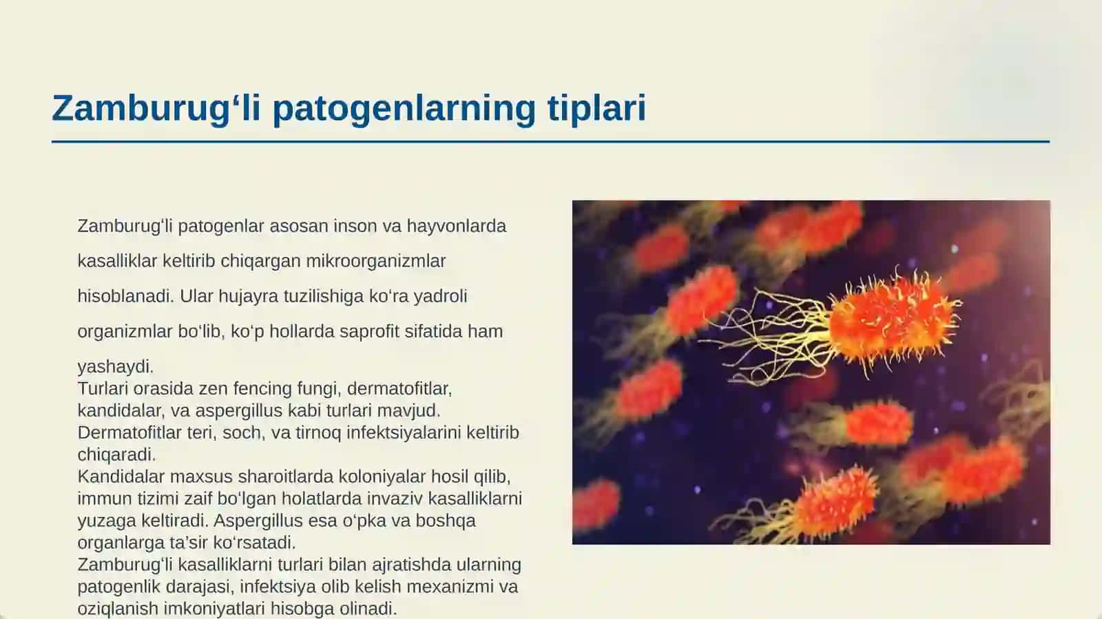 MIKROBIOLOGIYA ZAMBURUGʻLI KASALLIKNING QOʻZGʻATUVCHILARI PATOGENEZI VA LABARATORIYA TASHXISI 3