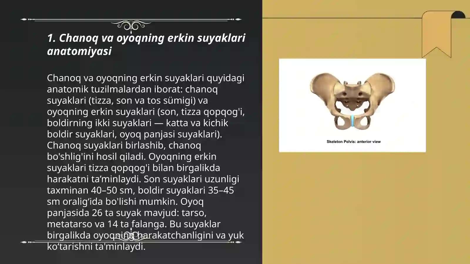 Chanoq kamari va Oyoqning erkin suyaklari 3