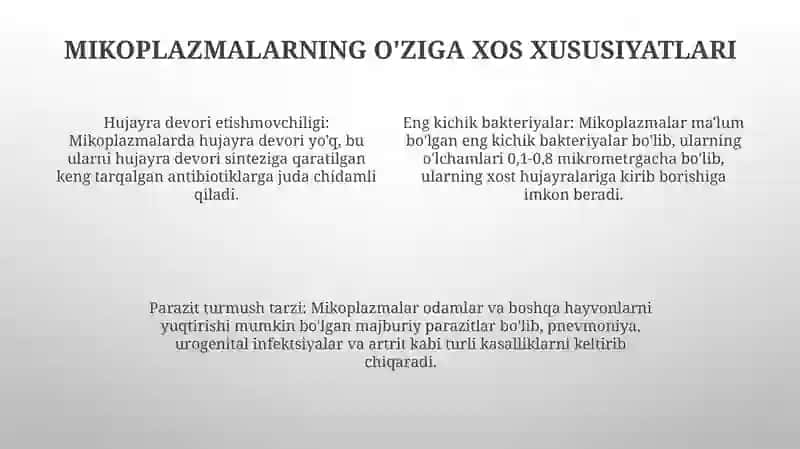Mikoplazmalar 3
