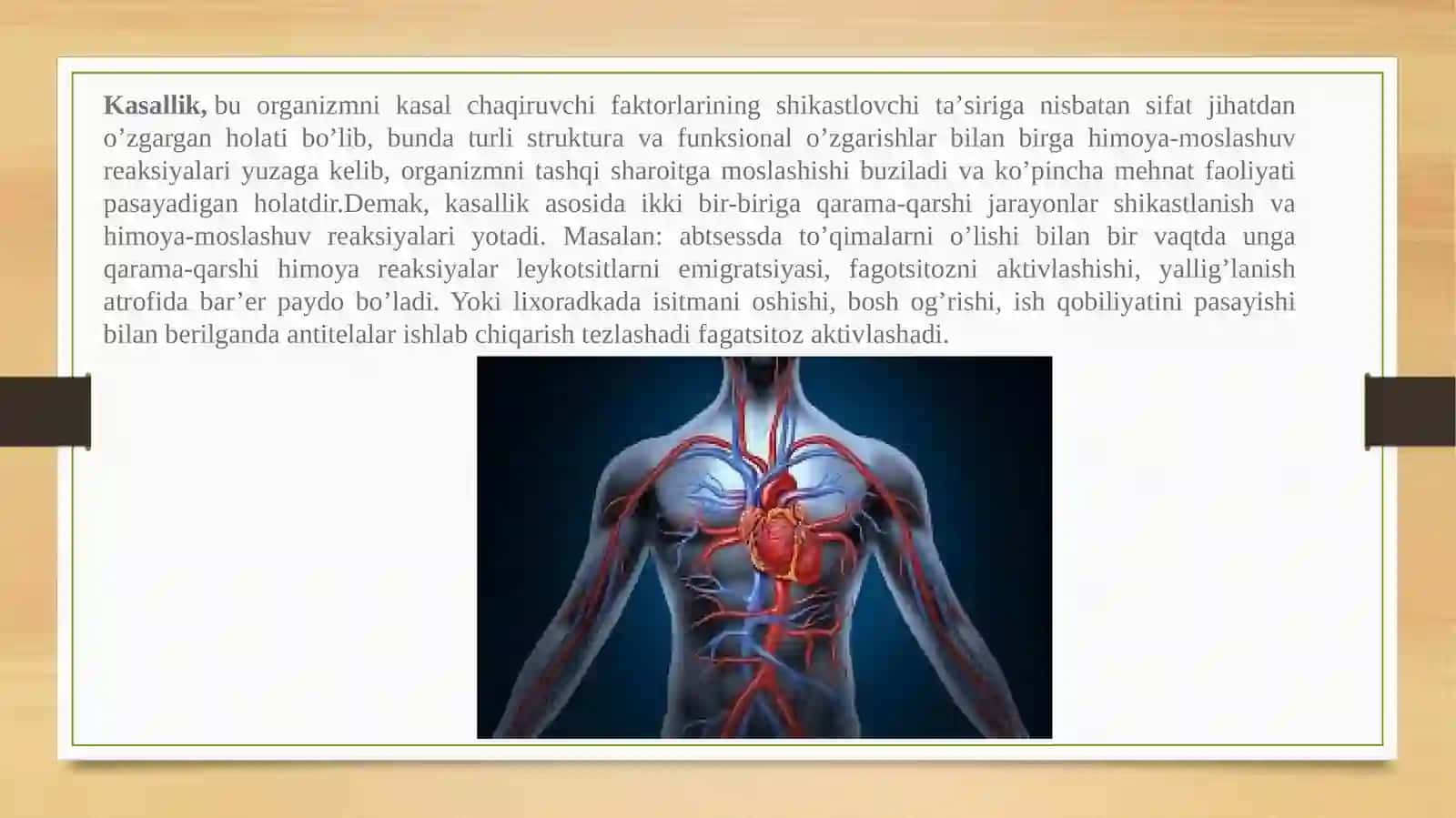 ALIBOYEVA DILDORANING ANATOMIYA FANIDAN TAYYORLAGAN TAQDIMOTI 3