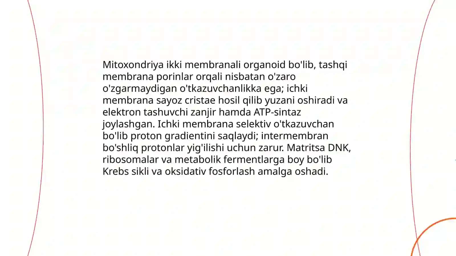 Sitoplazmaning ikki membranali organoidlari 3