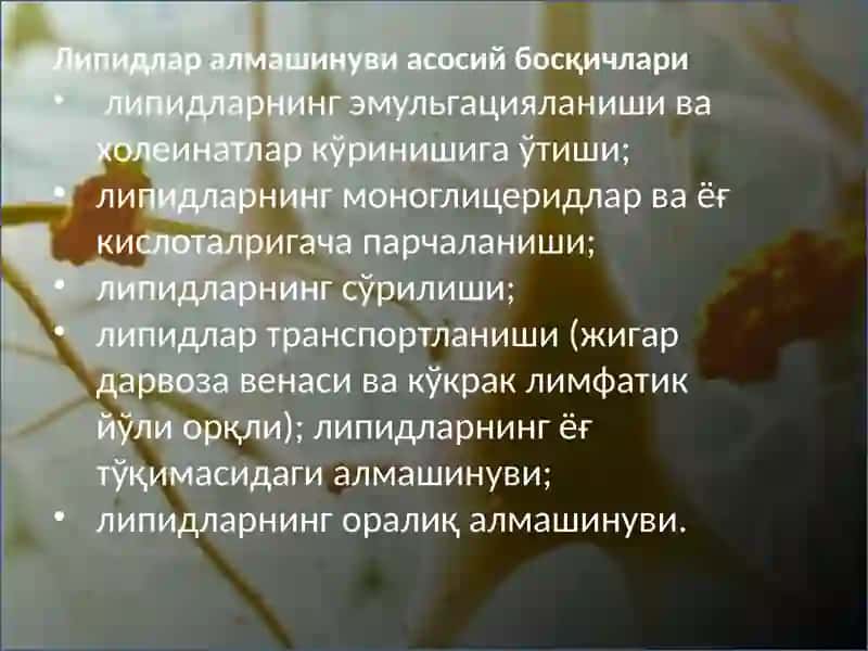 YOG’LAR ALMASHINUVINING IRSIY BUZILISHLARI 3