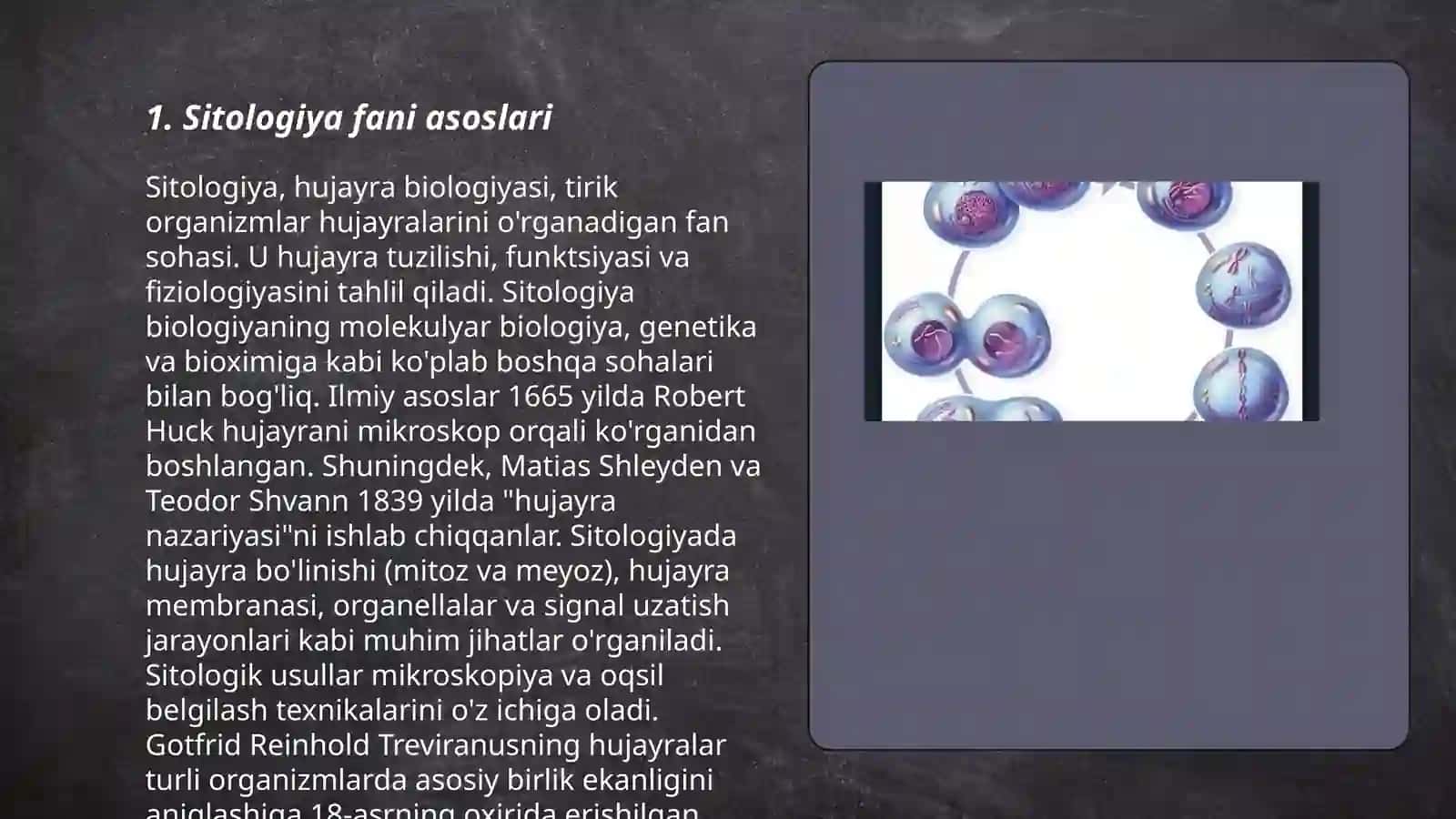 Sitologiya. Eukariot hujayralari. Organizmlarni ko'payishi. Mitoz.Meyoz 3