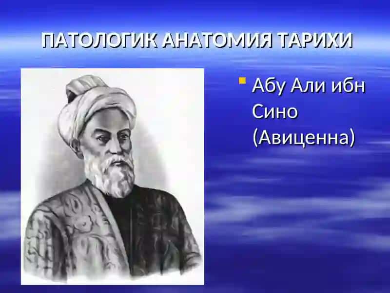 ПАТОЛОГИК АНАТОМИЯ 3