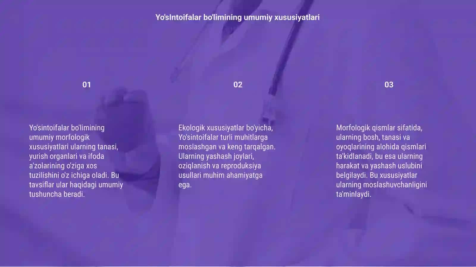 Yo'sintoifalar bo'limining umumiy morfologik va ekologik xususiyatlari 3