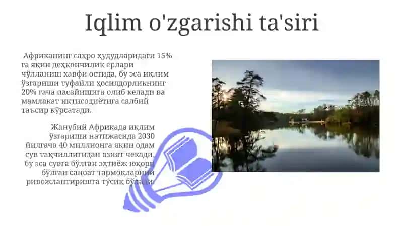 Afrika mamlakatlarida sanoatlashuv muammolari 3