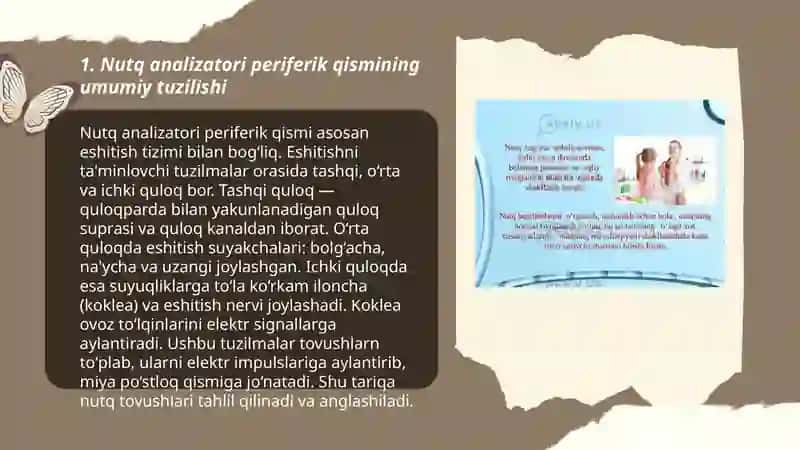 Nutq analizatorining pereferik qism faoliyati 3