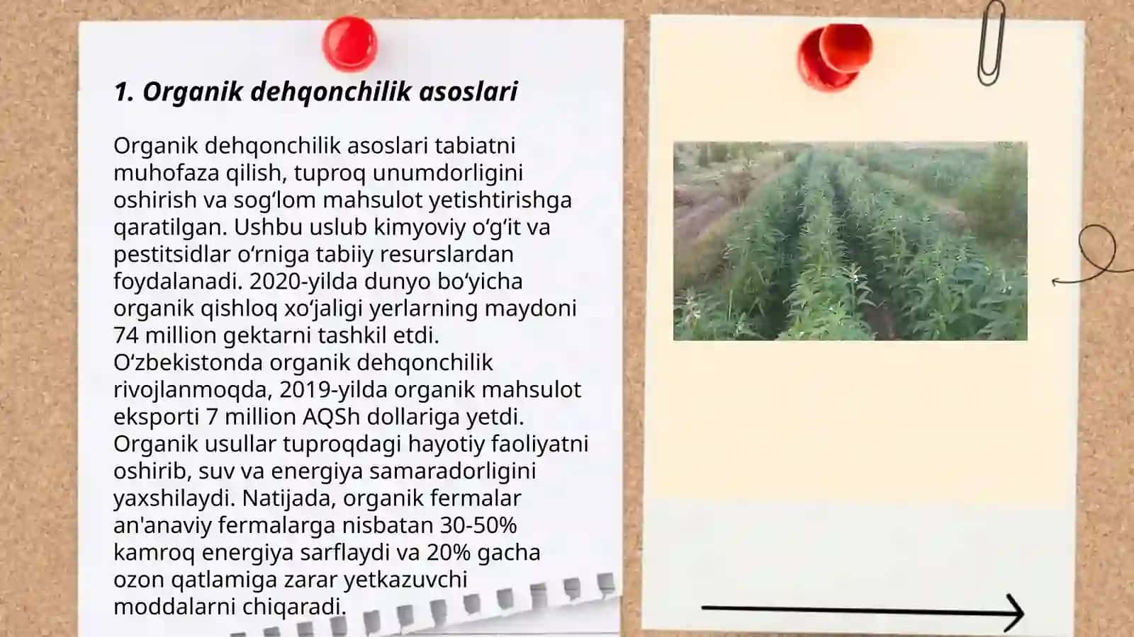 Organik dehqonchilik qilinadigan joylarda sabzavot ekinlarni yetishtirish,chiqindilardan kompost tayyorlash,dehqonchilikda ekinlar qoplamasini hosil qilish 3
