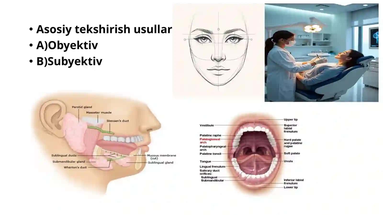 Bemorni klinik tekshirish 3