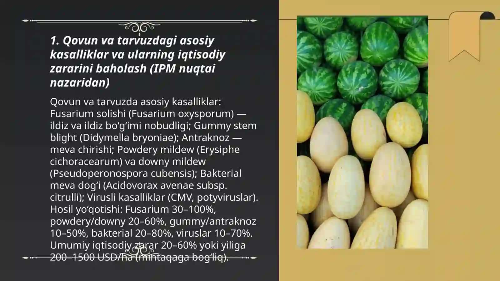 Qovun va tarvuz kasalliklariga qarshi integratsiyalashgan himoya tizimi 3