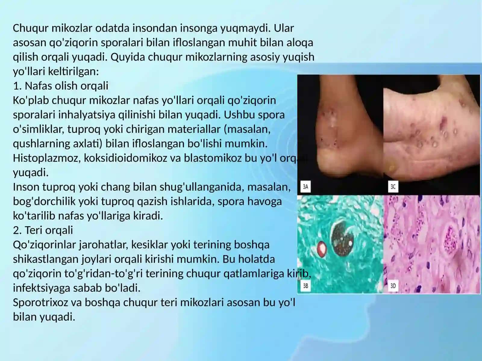 ChUQUR MIKOZLAR 3