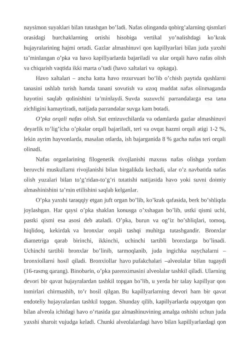 NAFAS OLISH VA CHIQARISH MUSKULLARI KO’KRAK FASSIYASI, BARCHA MUSKULLARNING BIRIKISH VA VAZIFALARI 3