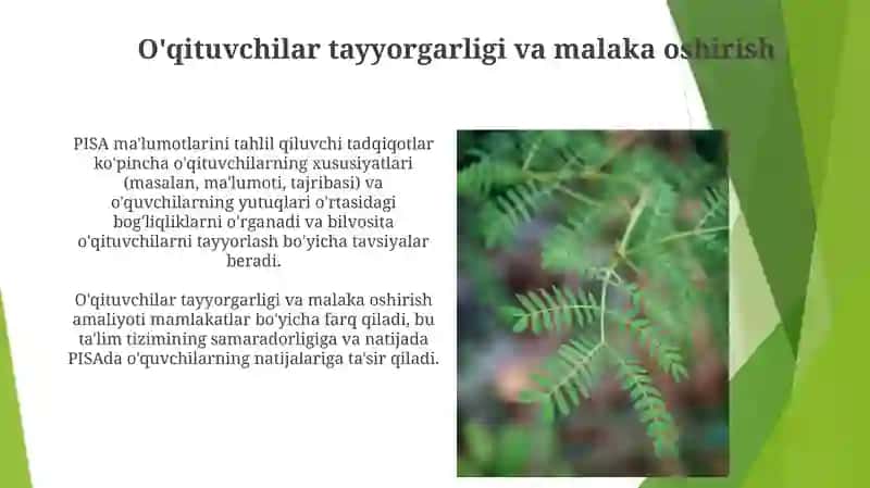 Pisa o'quvchilarni ta'limiy yutuqlarini baholash xalqaro dasturi 3